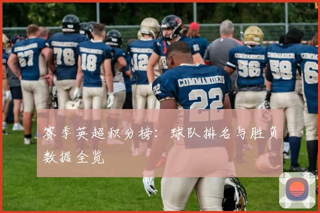 赛季英超积分榜：球队排名与胜负数据全览