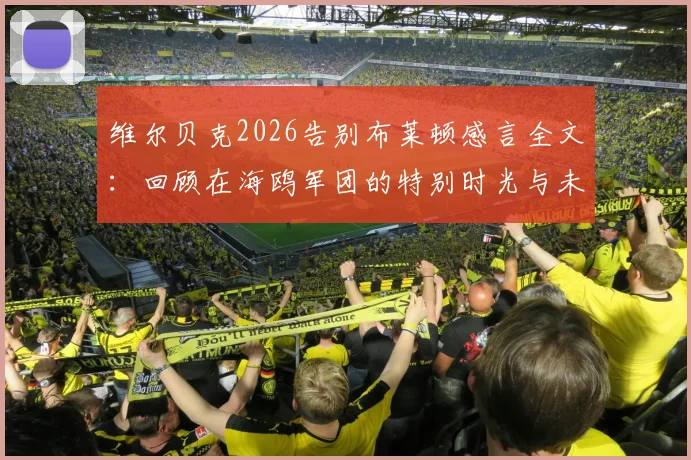 维尔贝克2026告别布莱顿感言全文：回顾在海鸥军团的特别时光与未来去向分析